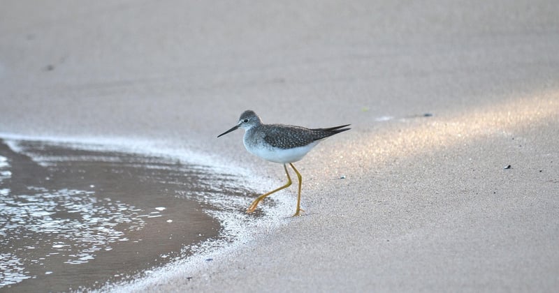 Bali secret : découvrez ses plages cachées loin des foules