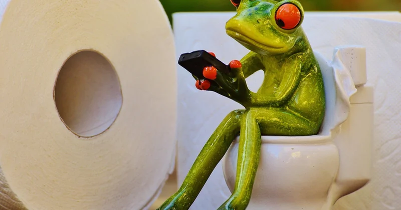 Déchets et toilettes : les bonnes pratiques qui font la différence